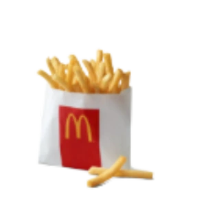 regular fries