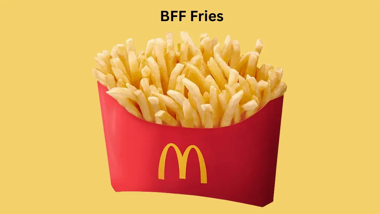 BFF Fries price